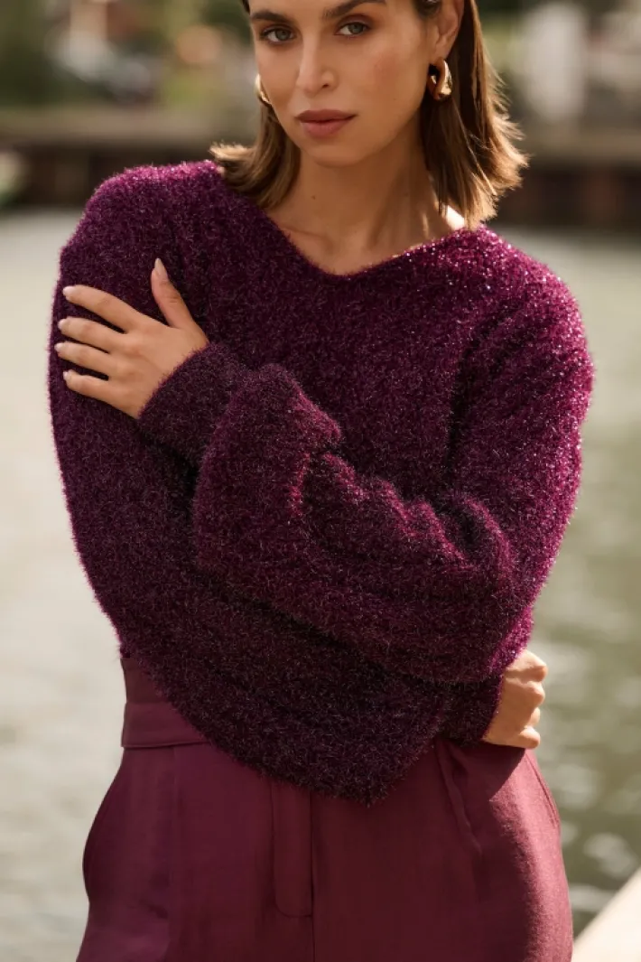 AAIKO Party Collection | Knitwear<Femme Trui Burgundy