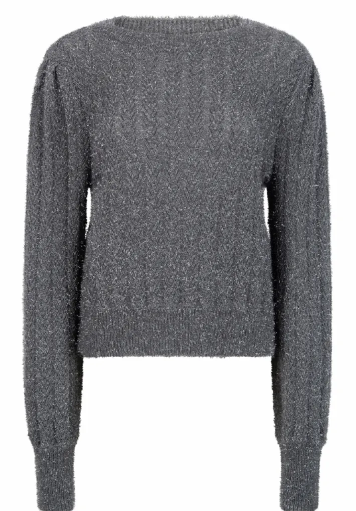 AAIKO Party Collection | Knitwear<Femme Trui Grijs