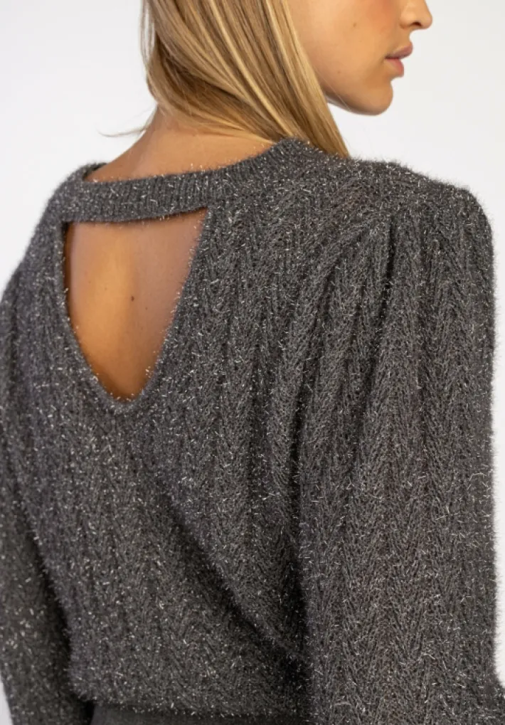 AAIKO Party Collection | Knitwear<Femme Trui Grijs