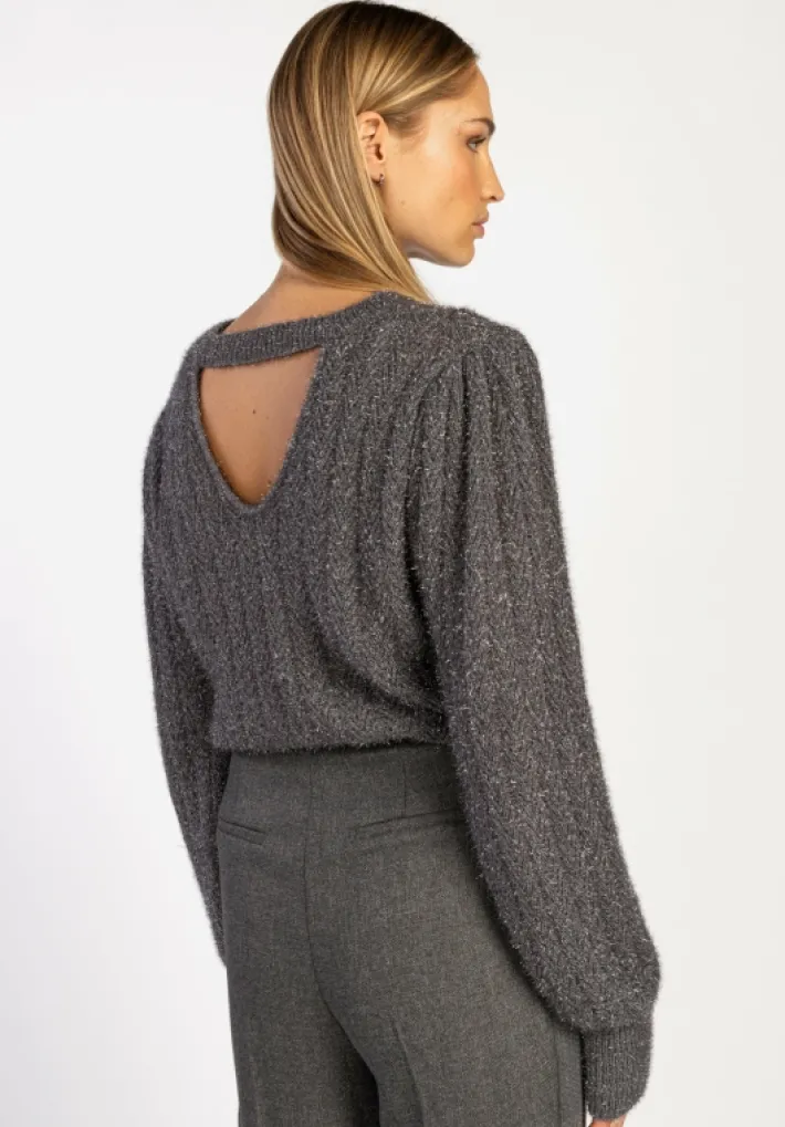 AAIKO Party Collection | Knitwear<Femme Trui Grijs